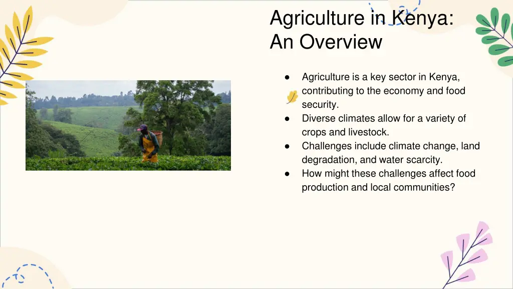 agriculture in kenya an overview