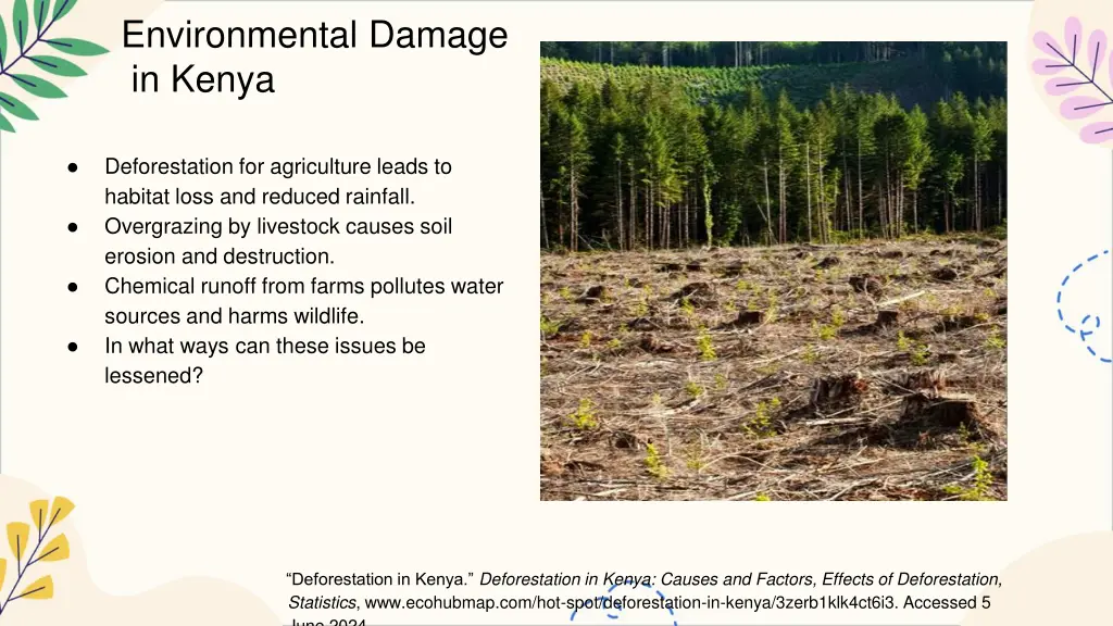 environmental damage in kenya