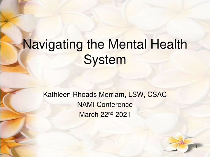 navigating the mental health system