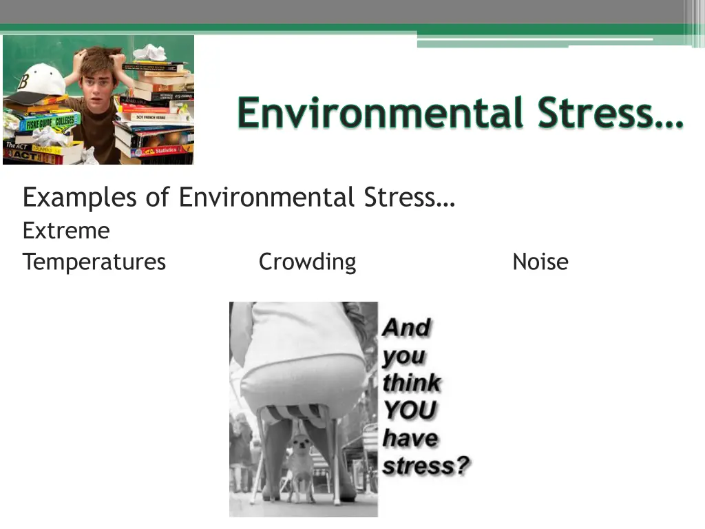 environmental stress 1