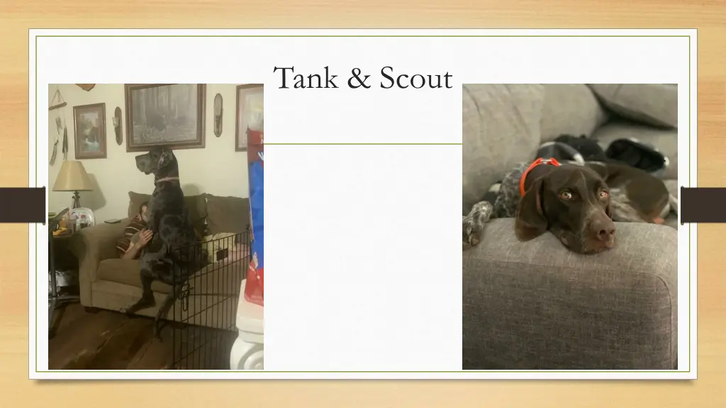 tank scout