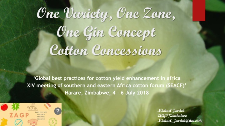 one variety one zone one gin concept cotton