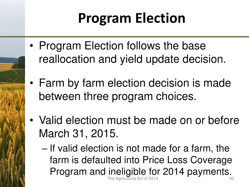 program election