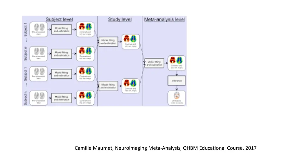 camille maumet neuroimaging meta analysis ohbm