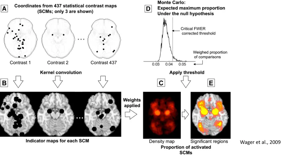 wager et al 2009