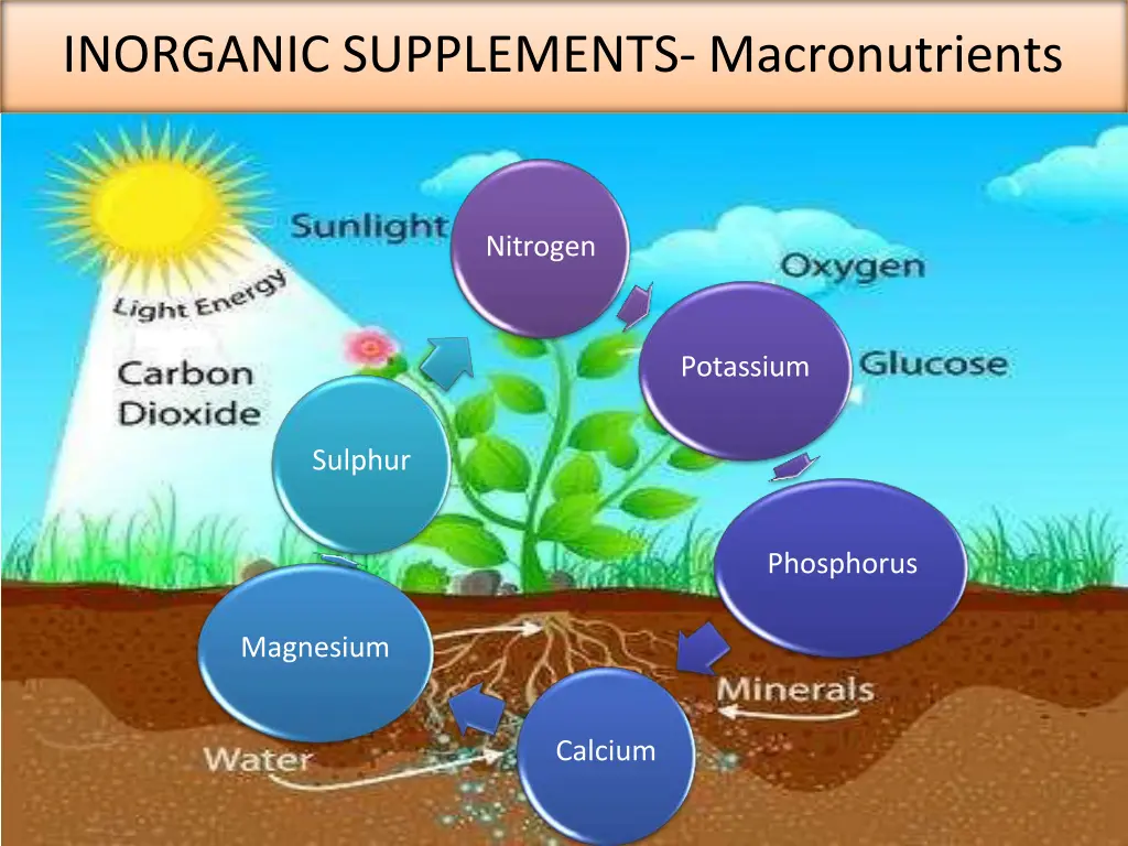 inorganic supplements macronutrients