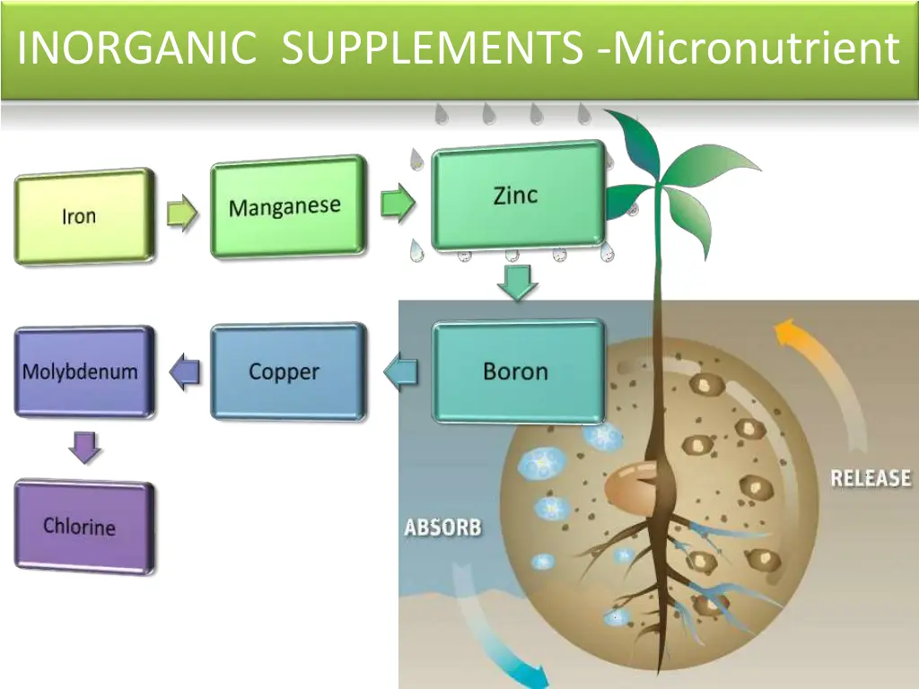 inorganic supplements micronutrient