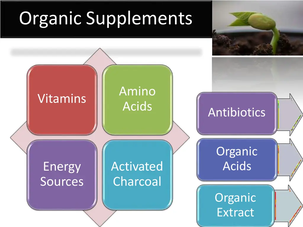 organic supplements