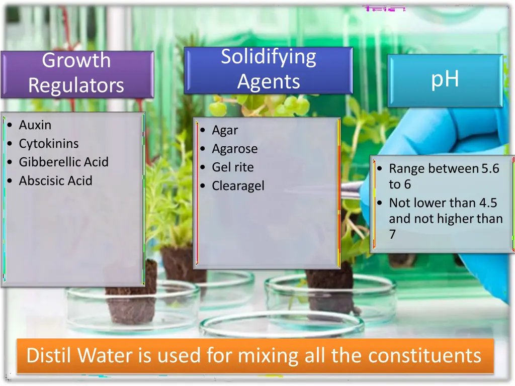 solidifying agents
