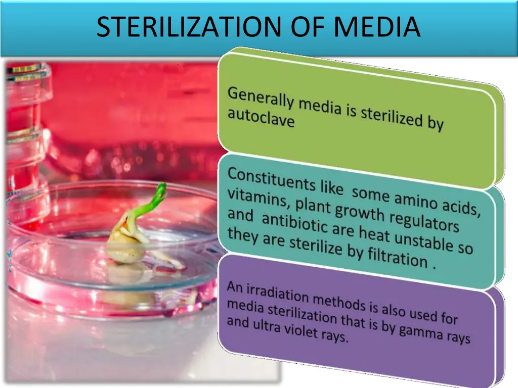 sterilization of media