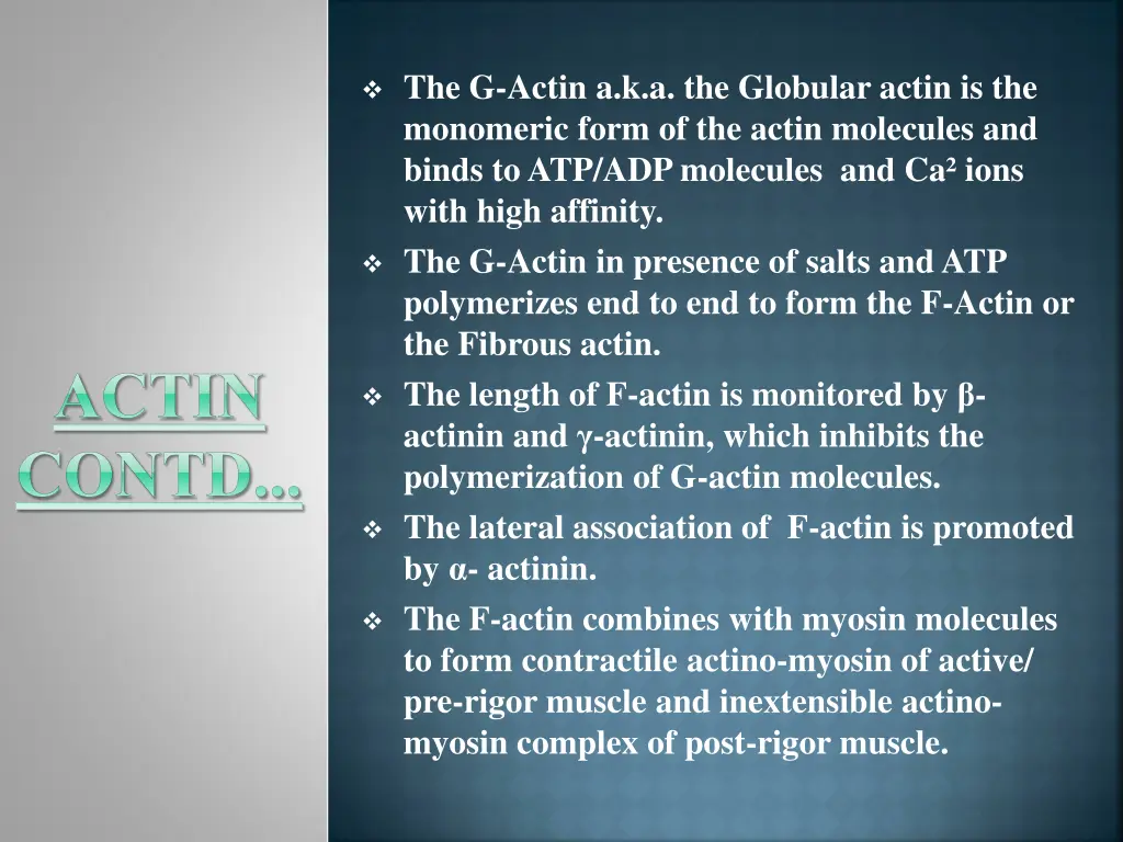 the g actin a k a the globular actin