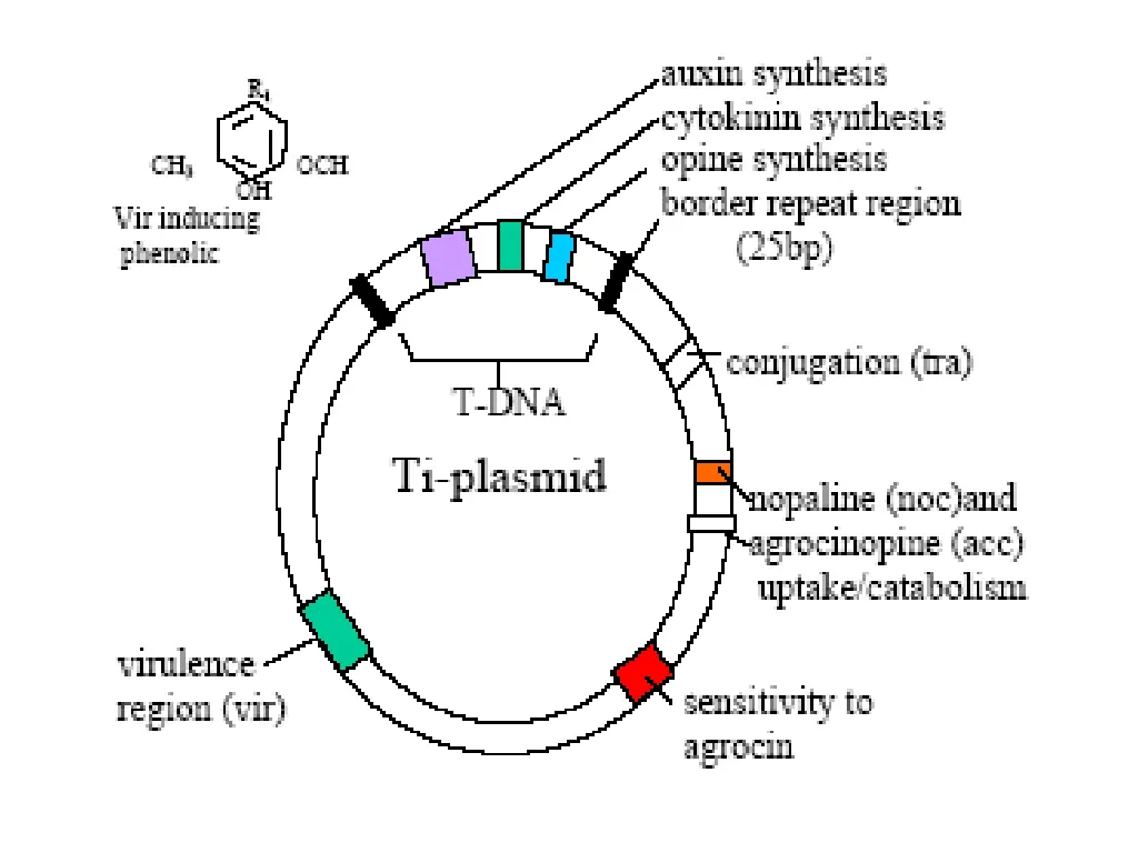 slide35