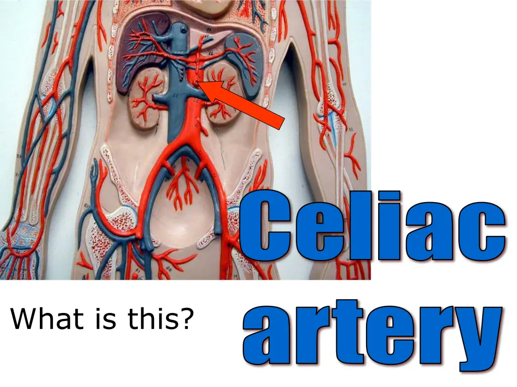 celiac