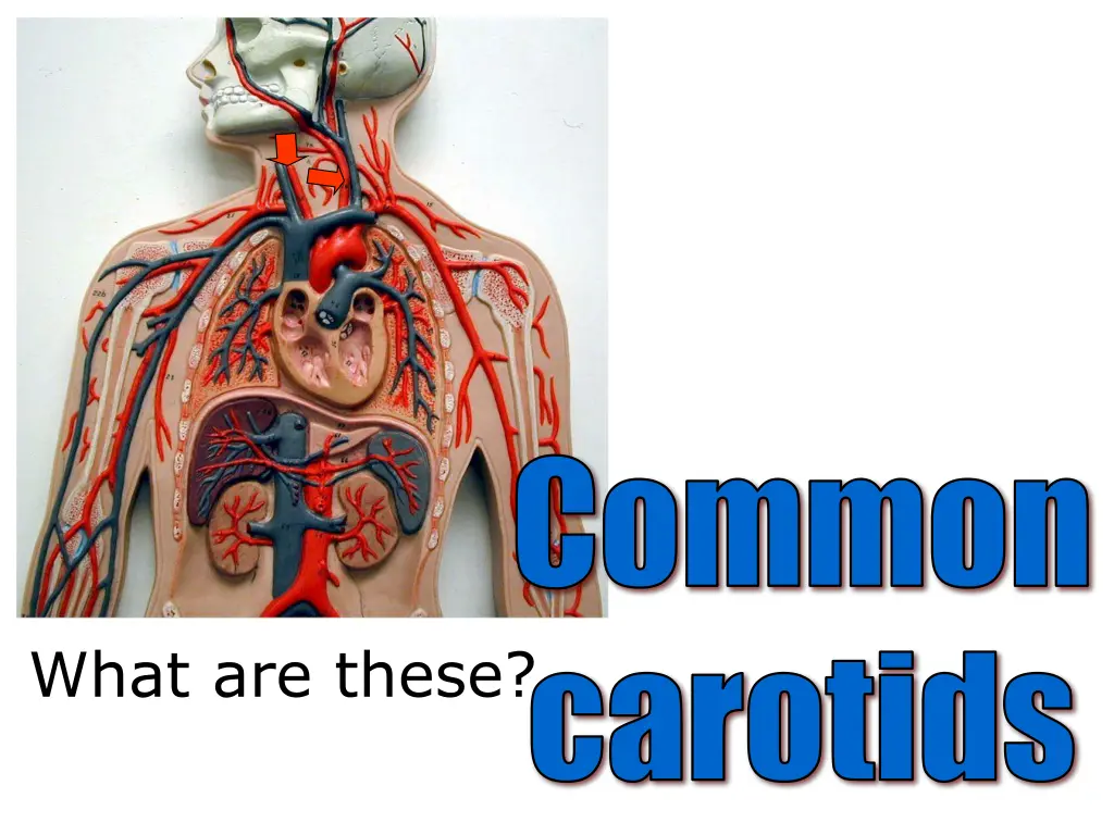 common