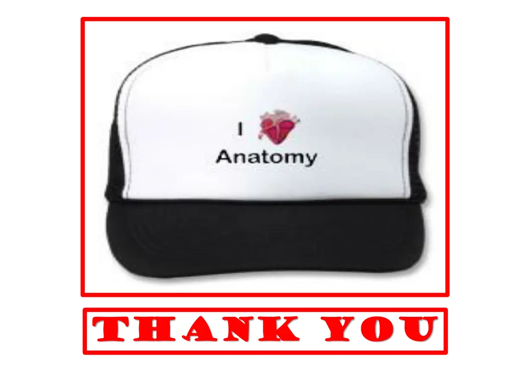 thank you thank you