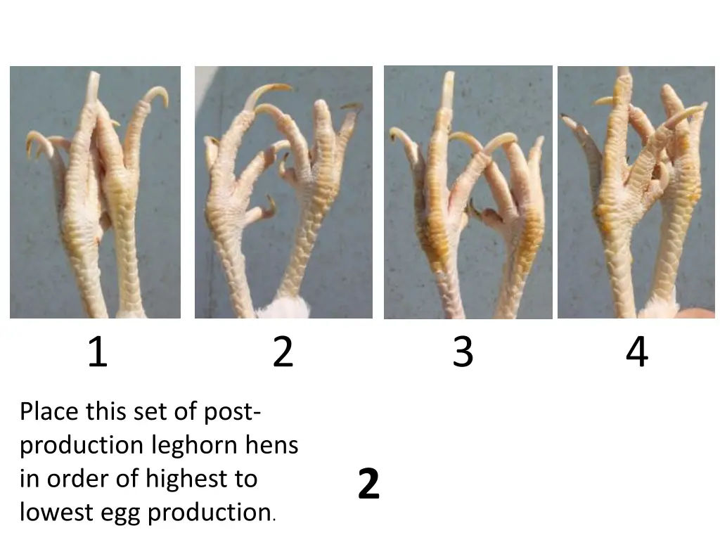 slide2