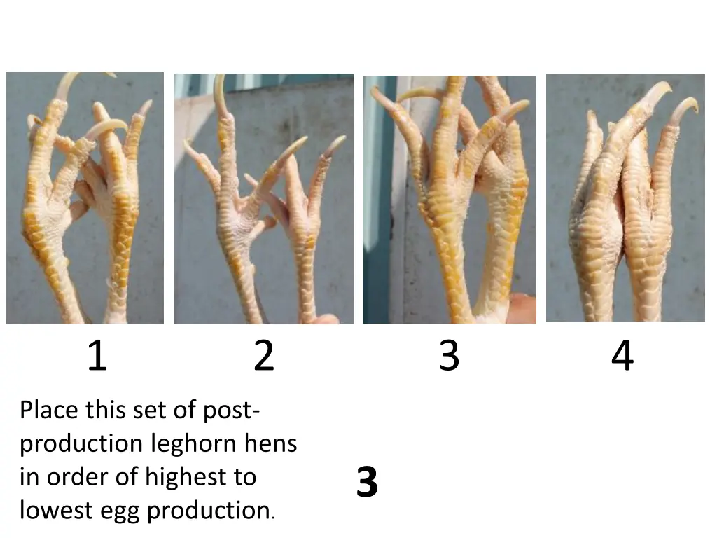 slide3