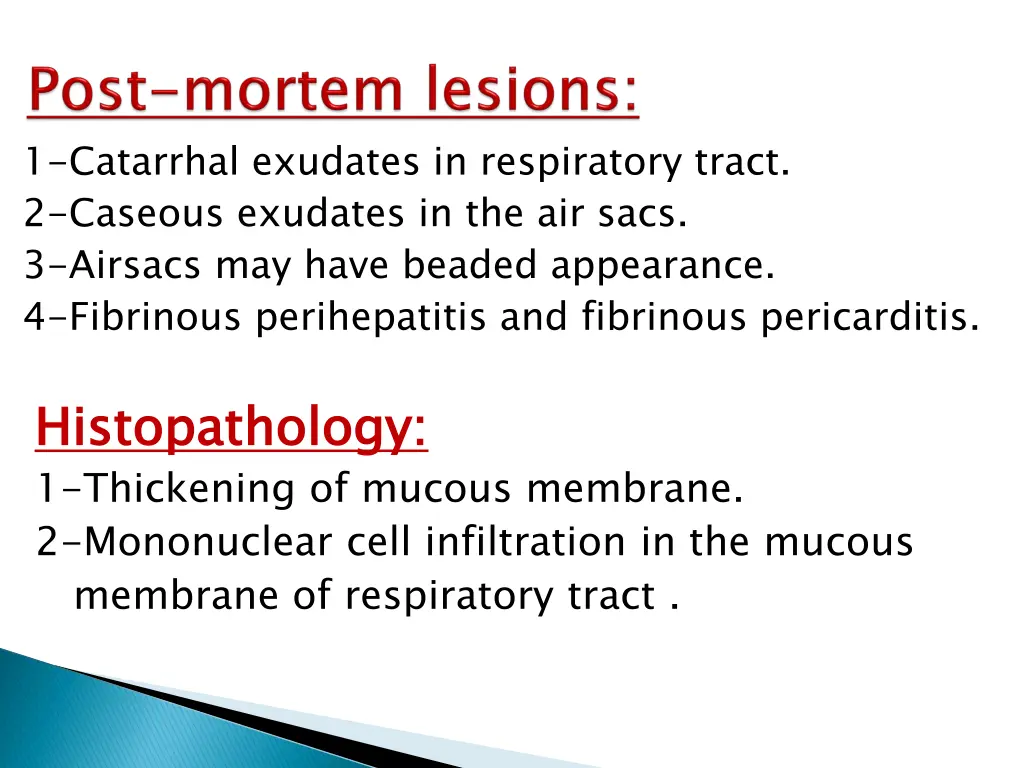 1 catarrhal exudates in respiratory tract