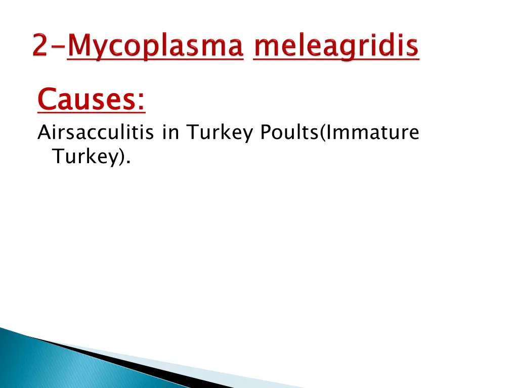 causes airsacculitis in turkey poults immature