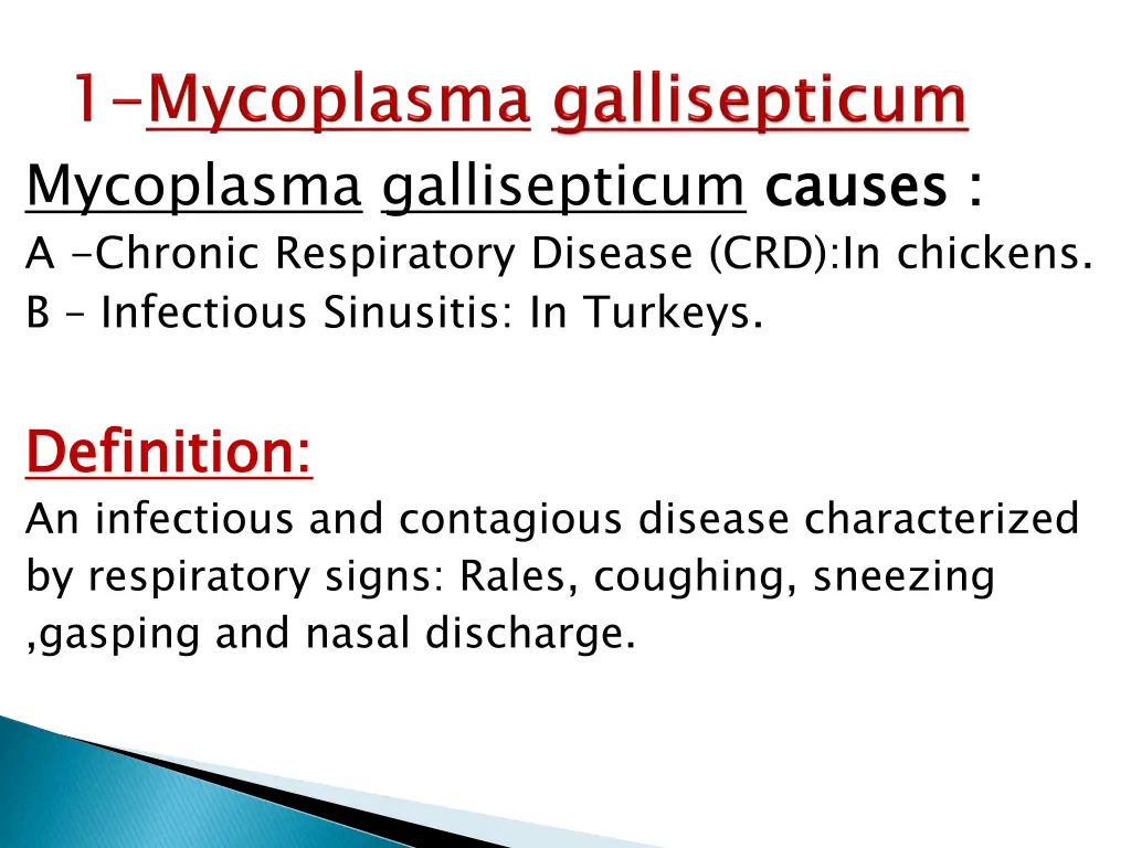 mycoplasma gallisepticum causes a chronic