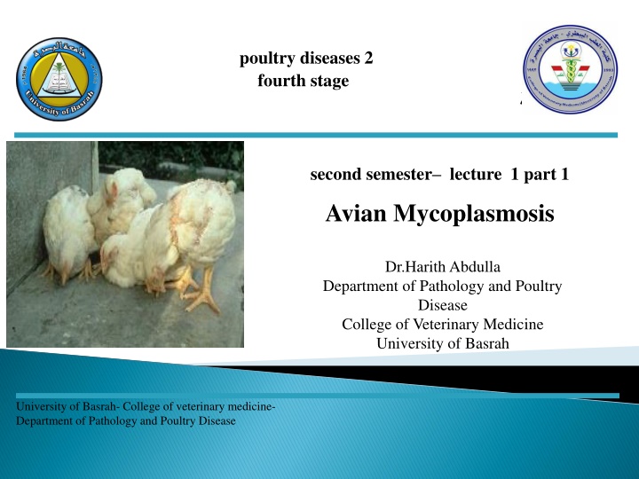 poultry diseases 2 fourth stage