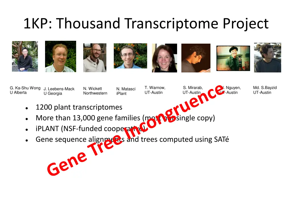 1kp thousand transcriptome project