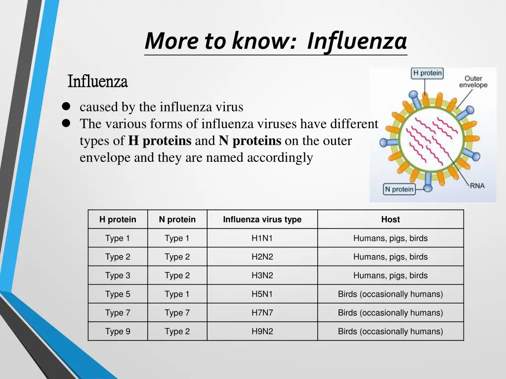 more to know influenza