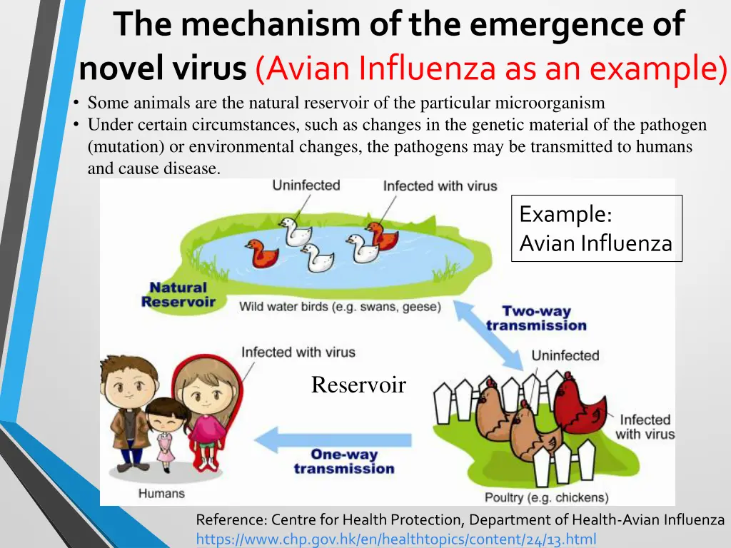 the mechanism of the emergence of novel virus