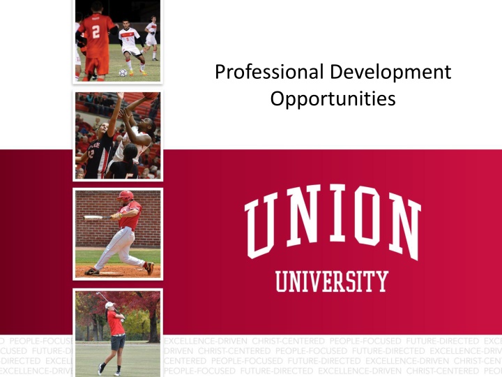 professional development opportunities