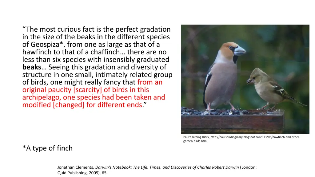 the most curious fact is the perfect gradation