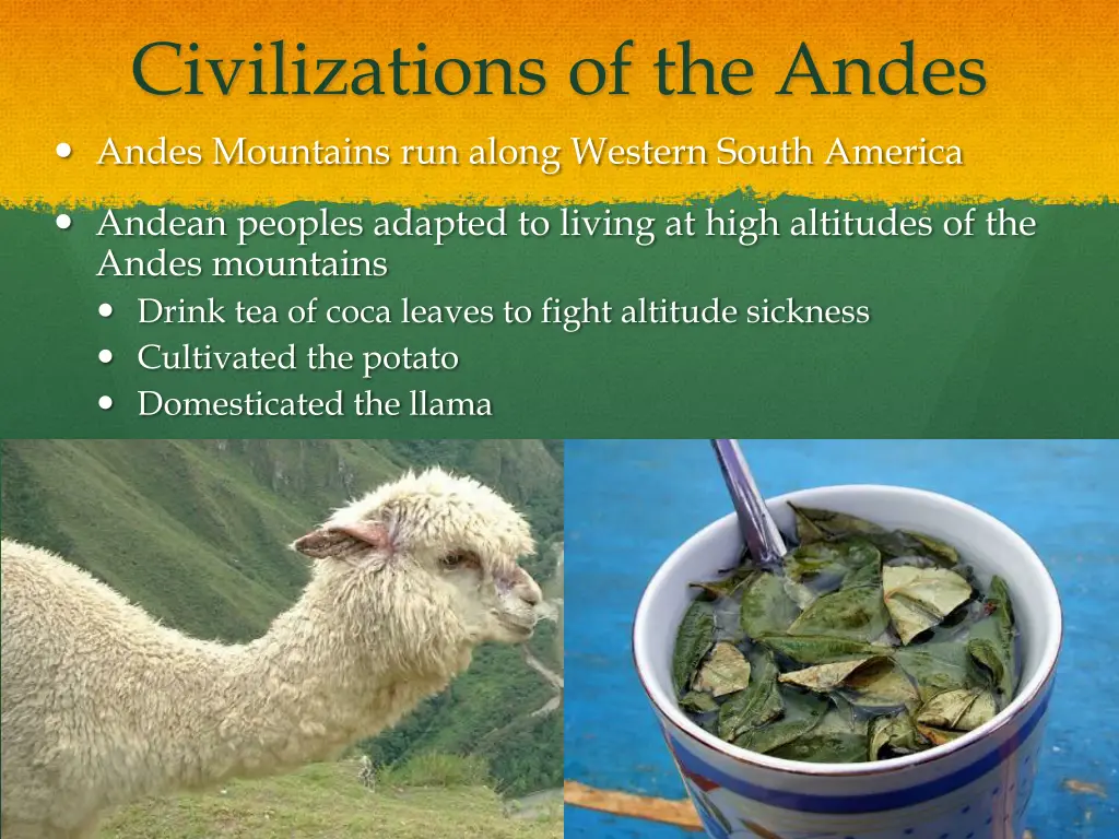 civilizations of the andes andes mountains