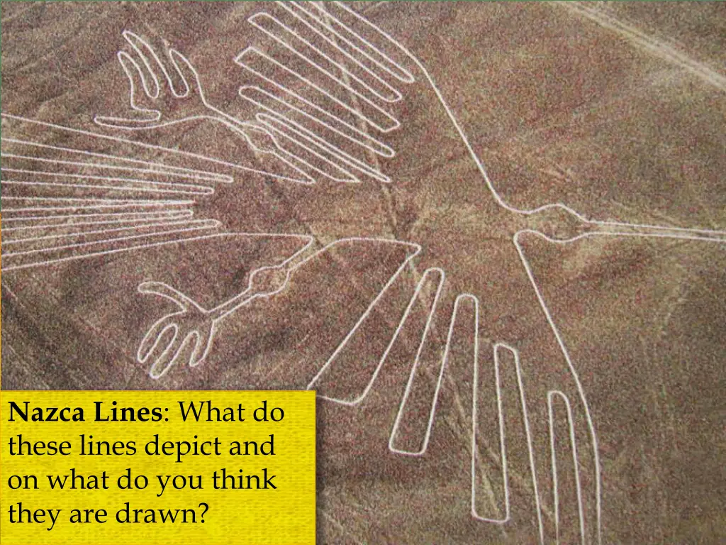 nazca lines what do these lines depict