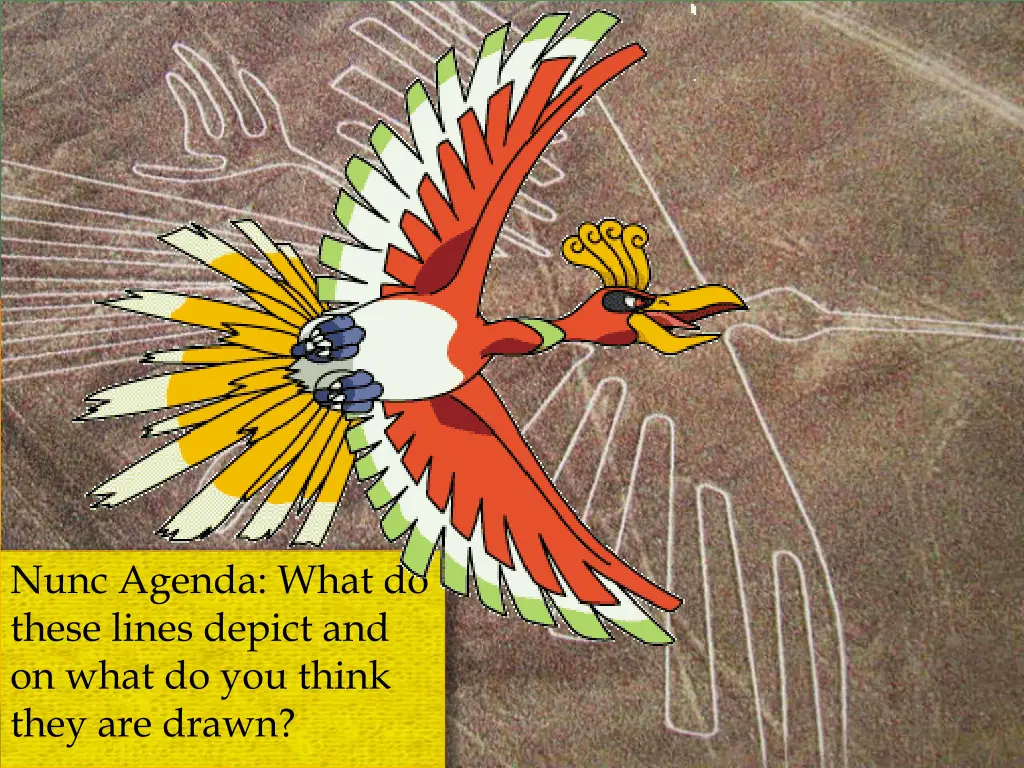 nunc agenda what do these lines depict 1