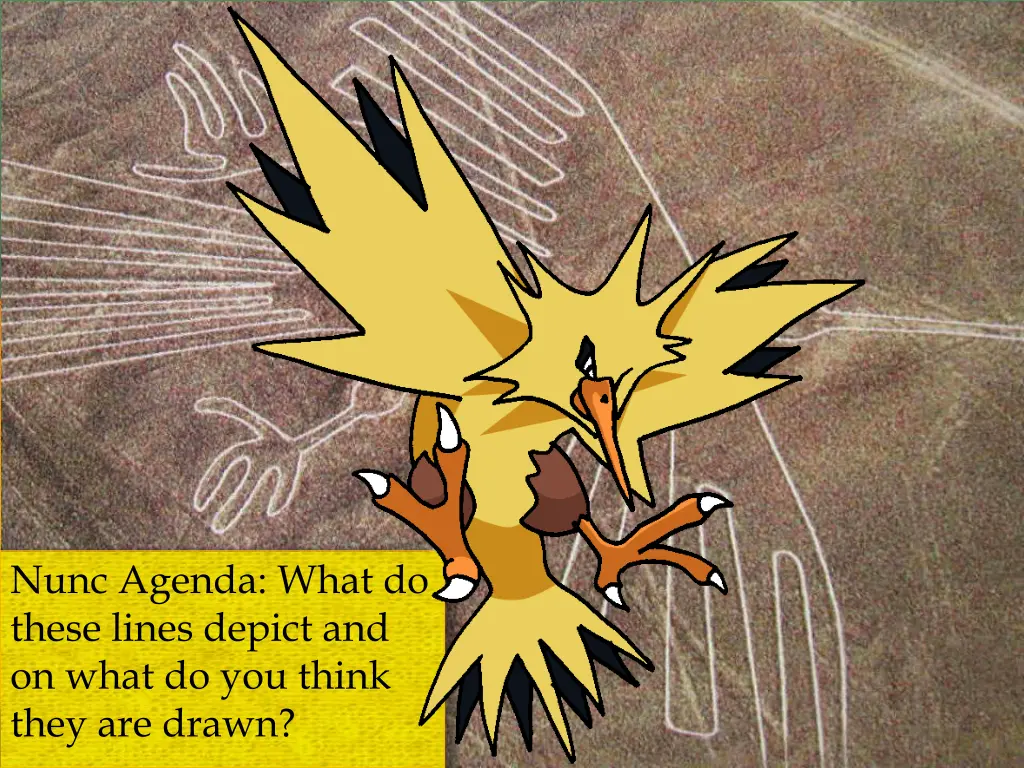 nunc agenda what do these lines depict
