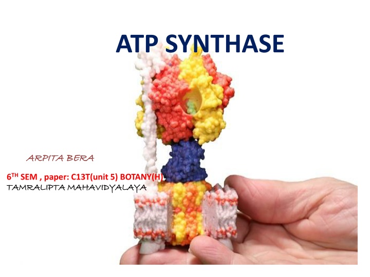 atp synthase