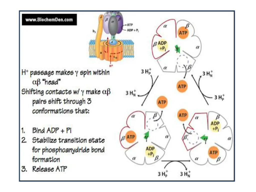 slide9
