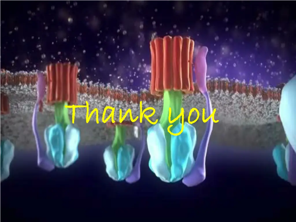 thank you thank you