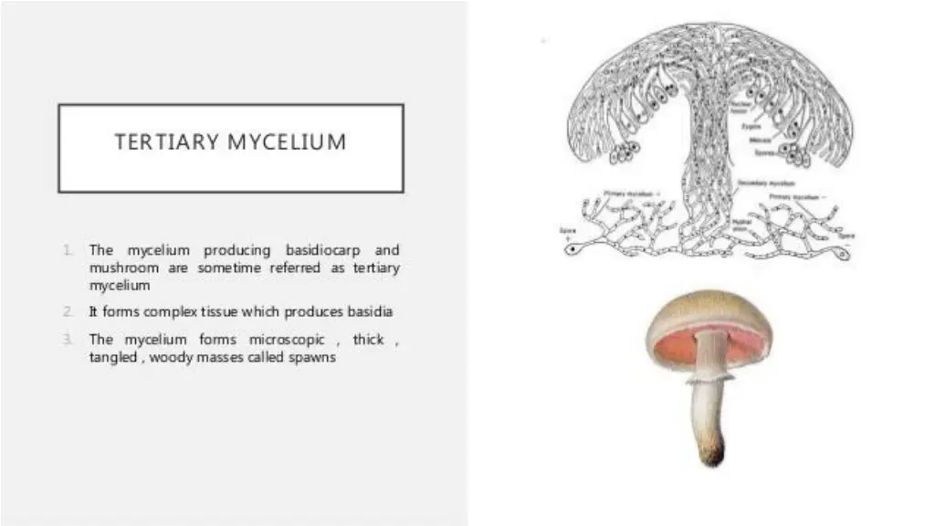 slide10