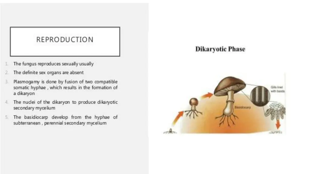 slide12