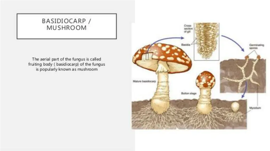 slide13