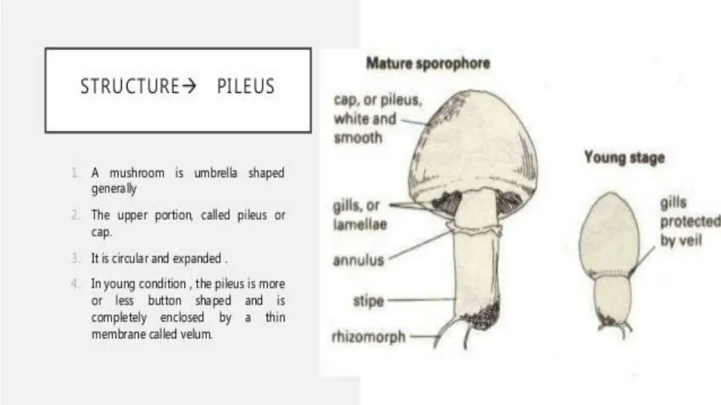 slide14