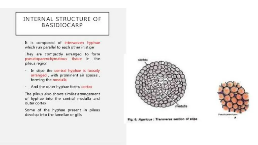 slide20