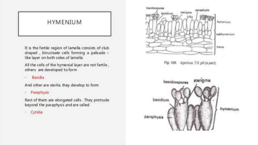slide22