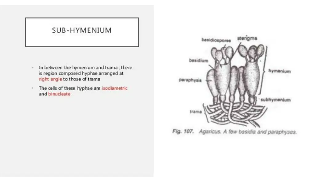 slide24
