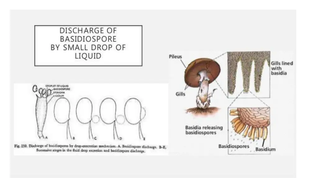 slide26