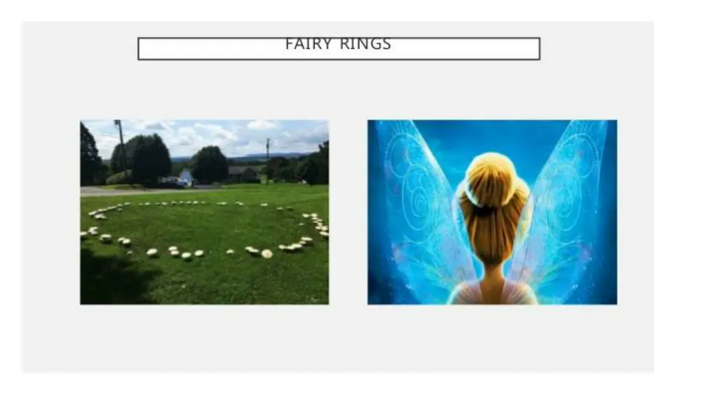 slide27