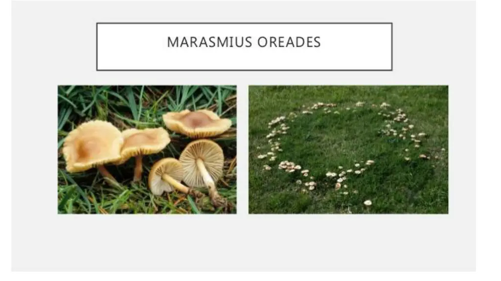 slide28