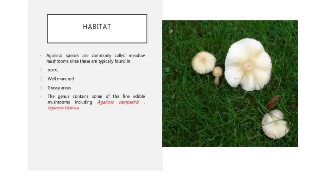 slide3