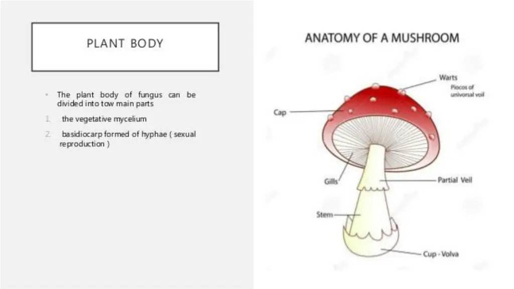 slide5
