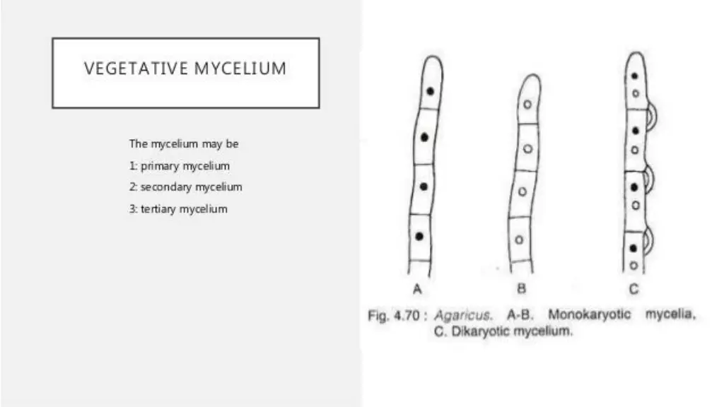 slide6